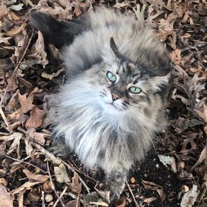 Meet your Posher, Blake